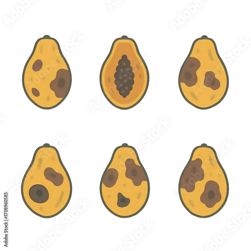 Rotten Papaya Cute Cartoon Vector Illustration, Papaya Decay Stages Flat Minimalist Vector Icons, Spoiled Papaya Fruit Hand Drawn Food Waste Illustration