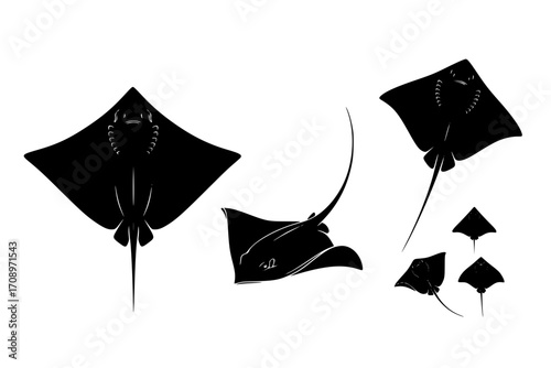 Set of Stingray Silhouettes and Icons in a Modern Vector Style, Vector Collection of Sea Animal Symbols: Stingray Silhouette Pack