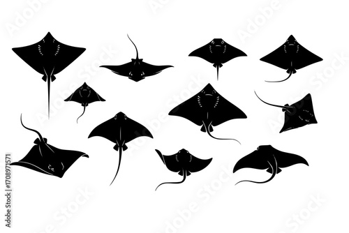 Set of Stingray Silhouettes and Icons in a Modern Vector Style, Vector Collection of Sea Animal Symbols: Stingray Silhouette Pack