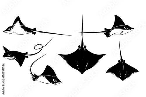 Set of Stingray Silhouettes and Icons in a Modern Vector Style, Vector Collection of Sea Animal Symbols: Stingray Silhouette Pack