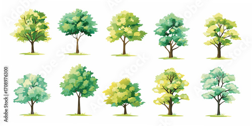 Collection of ten diverse deciduous trees with green and yellow foliage on white background