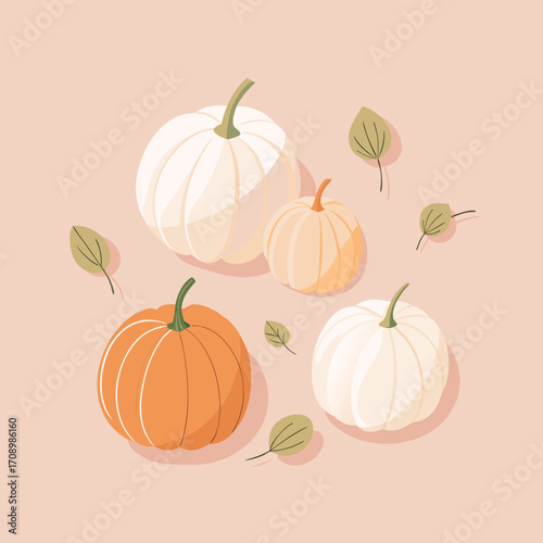 Assortment of pumpkins and leaves on a pale background