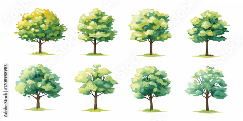 Collection of eight diverse deciduous trees with green and yellow foliage on a white background