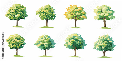 Collection of eight stylized deciduous trees with green and yellow foliage on a white background