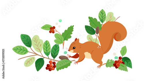 squirrel with nut