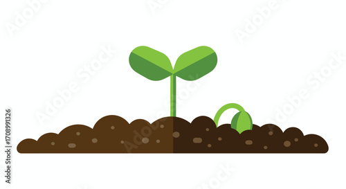 Two green sprouts emerging from dark brown soil
