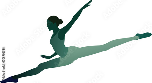 Silhouette of a female dancer in a poised ballet position, emphasizing elegance and artistry.