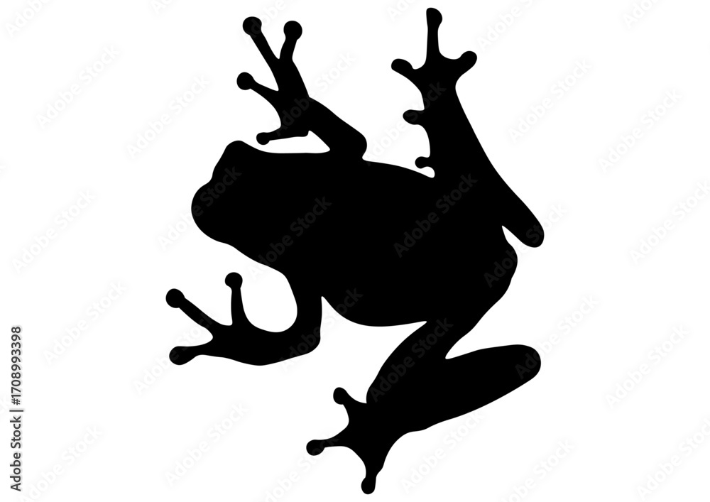 Obraz premium カエルのシルエット