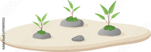 A trio of plants grows on a rock within a sandy area.
