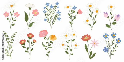 Collection of delicate hand drawn wildflowers and botanical elements in various colors and shapes