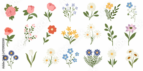 Collection of various hand drawn floral elements and botanical illustrations on white background