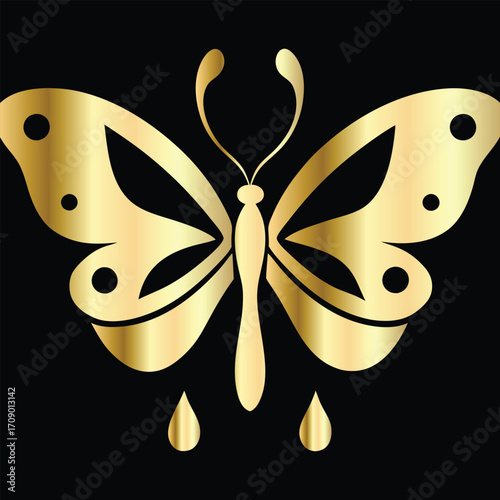 Beauty salon logo design. Elegant beauty salon logo. Butterfly logo.