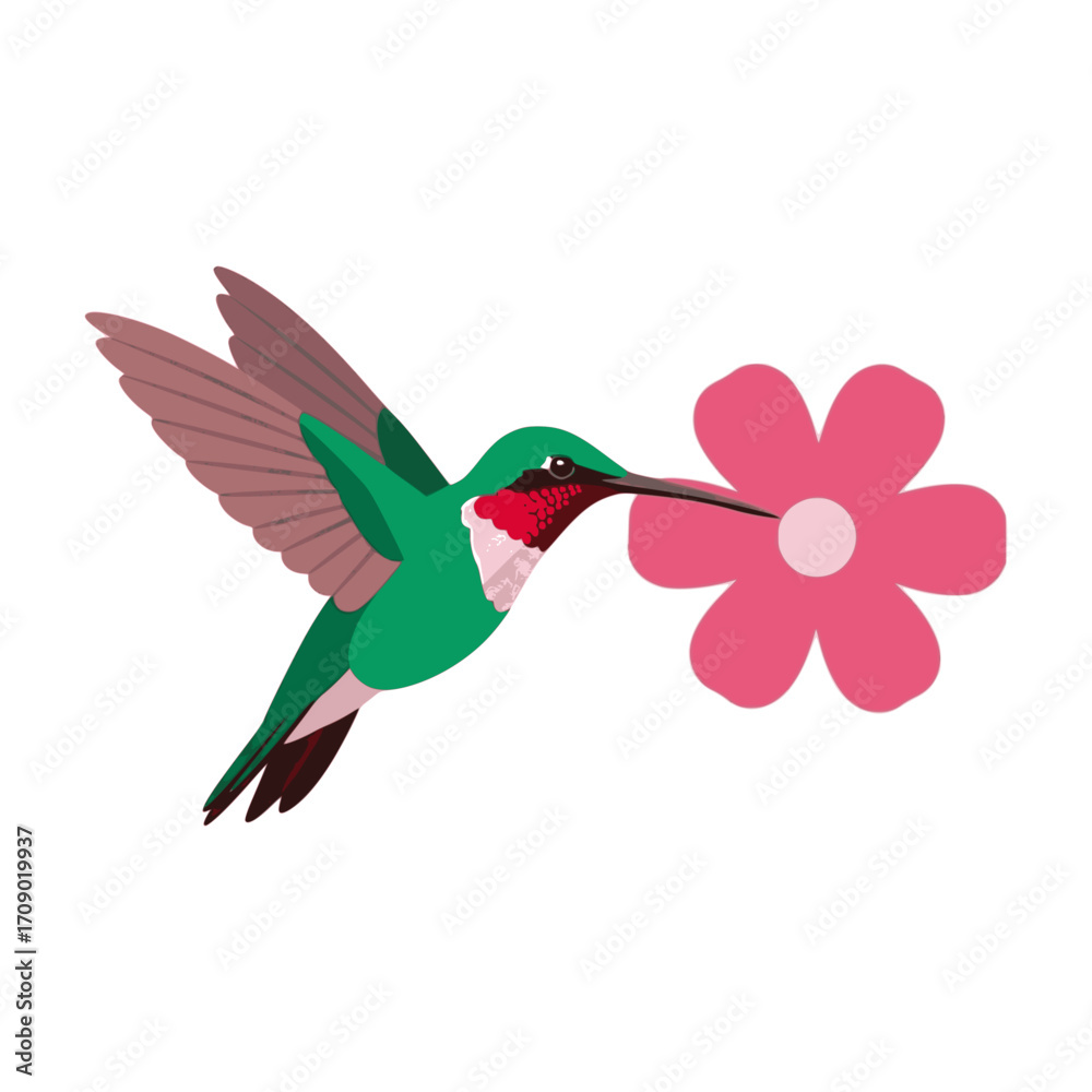 Fototapeta premium Hummingbird with flower: Capturing the beauty of nature with a vibrant hummingbird and a delicate flower, a harmonious symphony of color and grace. 