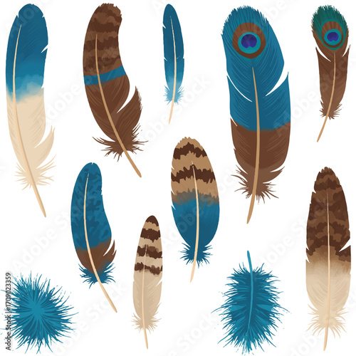 A detailed majestic feather collection is beautifully presented as a flat 2D vector illustration on a plain white background, showcasing intricate natural textures.