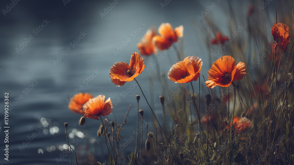 Obraz premium Vibrant orange poppies bloom gracefully near serene water body, creating picturesque scene filled with natural beauty and tranquility. soft sunlight enhances delicate petals, reflecting peaceful