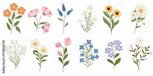 Collection of various colorful blooming flowers and green leaf branches isolated on white background