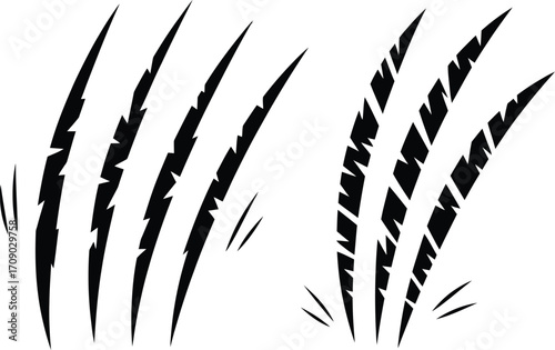Black Claw Marks on White Background