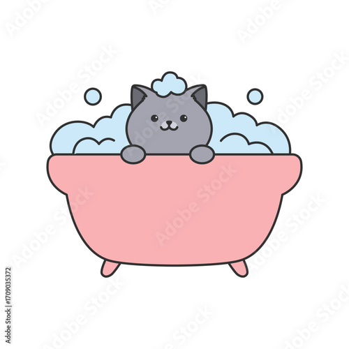 british shorthair illustration