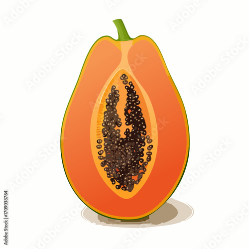 saffron apricot gradient papaya half vector icon with blurred seed scatter for tropical commercial stock