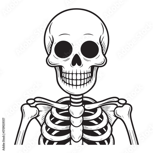 Old fashioned vintage skeleton design illustration vector