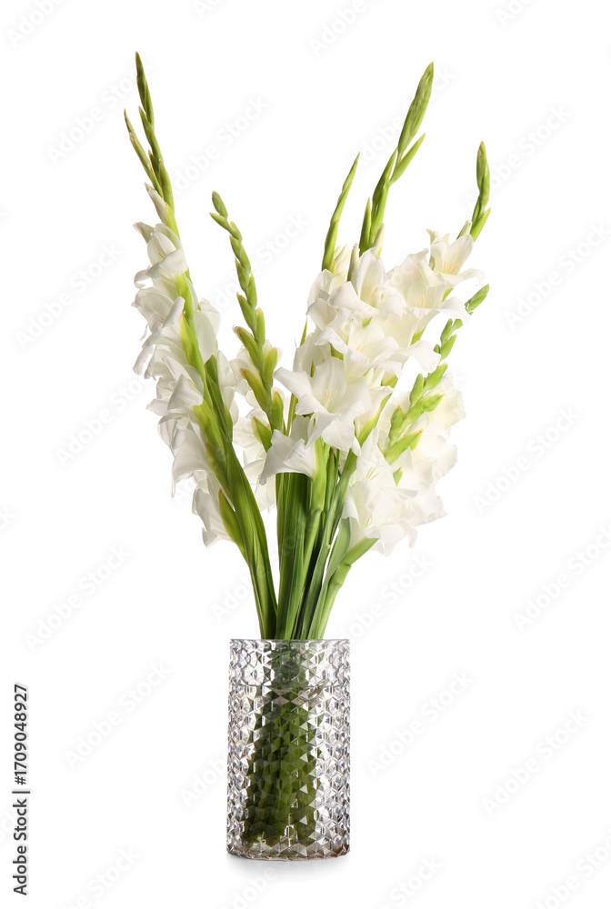 Fototapeta premium Vase with gorgeous gladiolus flowers isolated on white background, closeup