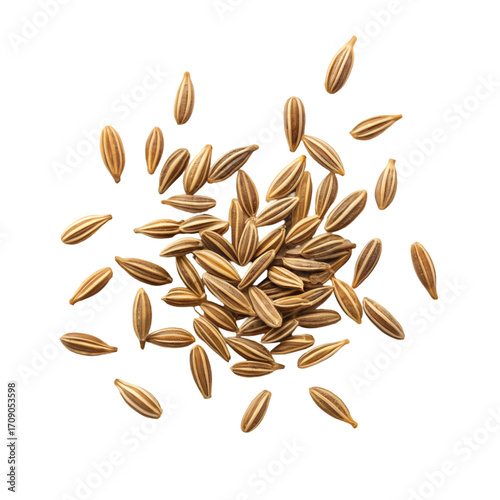 Close-up of Caraway Seeds Scattered on Black spice herb