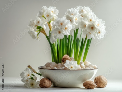 The New Year Symbolized By Flowering Paperwhites