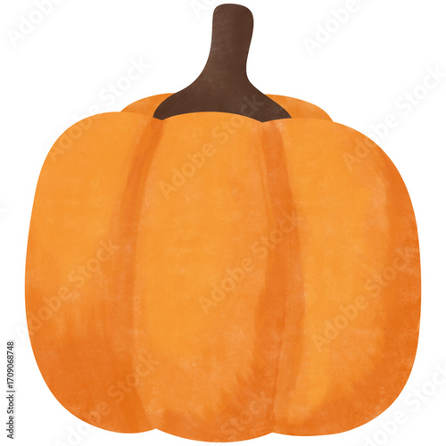 watercolor pumpkin illustration