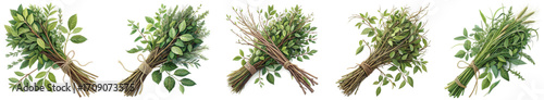Freshly gathered bunches of fragrant herbs and botanicals offer natural beauty and culinary inspiration for vibrant recipes and rustic decor