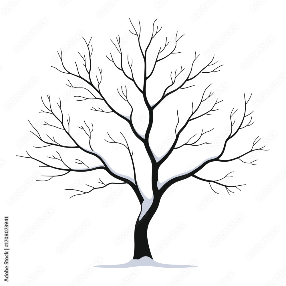 Fototapeta premium Bare tree silhouette autumn or winter nature seasons organic branching structure