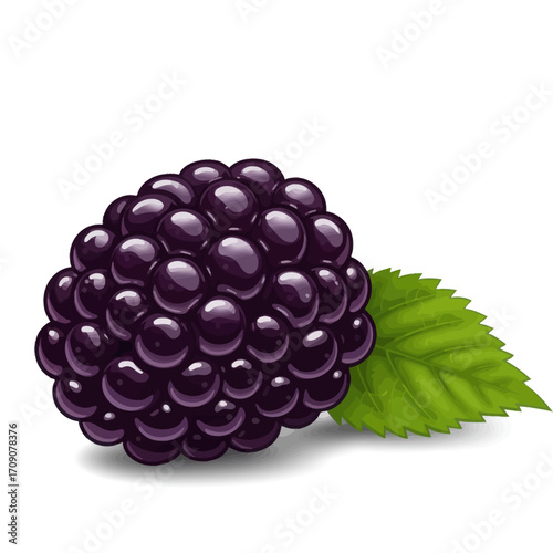 Vibrant and succulent single blackberry illustration with a fresh green leaf, perfect for healthy food designs