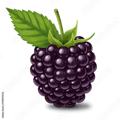 A close-up illustration of a single, ripe blackberry with a green leaf