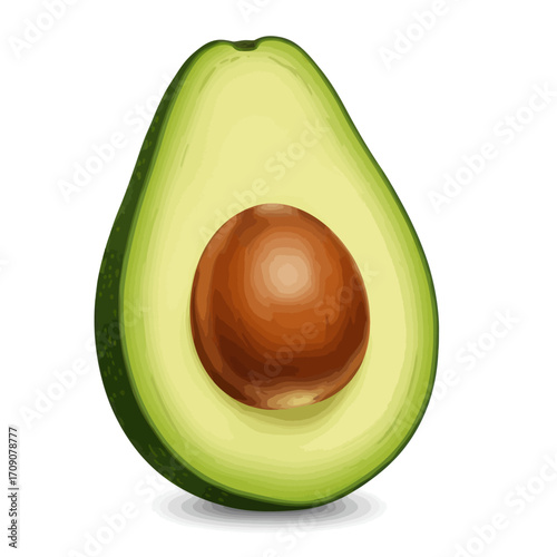 Freshly Sliced Avocado Half with Pit, Vibrant Green Flesh, Healthy Superfood Ingredient Illustration
