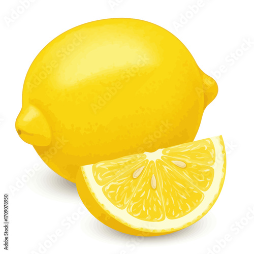 Fresh Lemon and Slice Close-Up Illustration