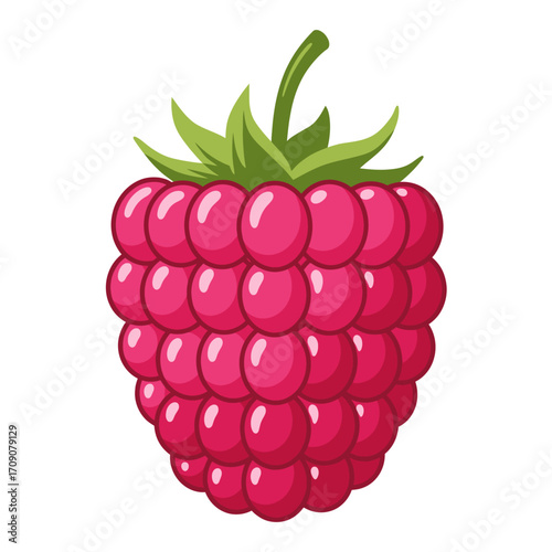 Vibrant Pink Raspberry Illustration - A Fresh and Juicy Berry Icon
