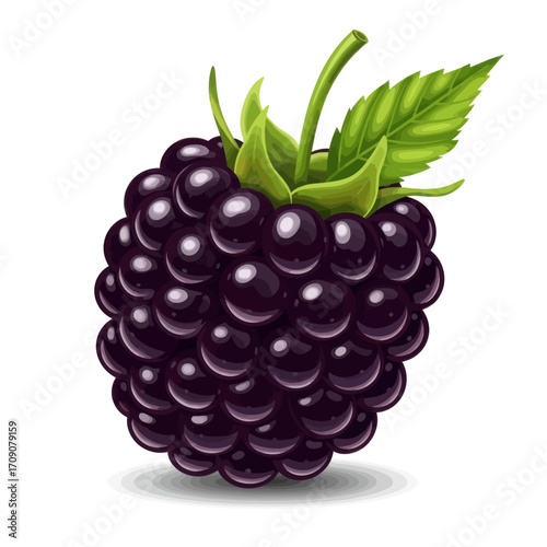 Fresh Juicy Blackberry Illustration With Green Leaves and Stem