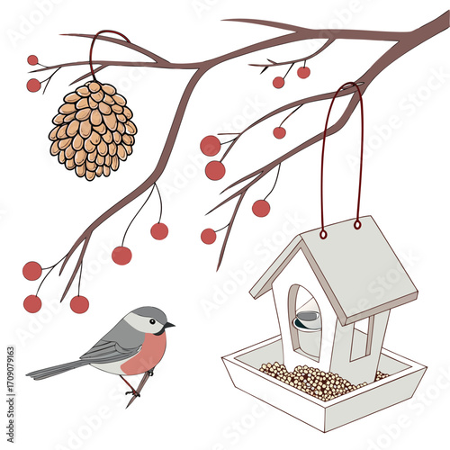 Bullfinch bird near winter bird feeder and pine cone