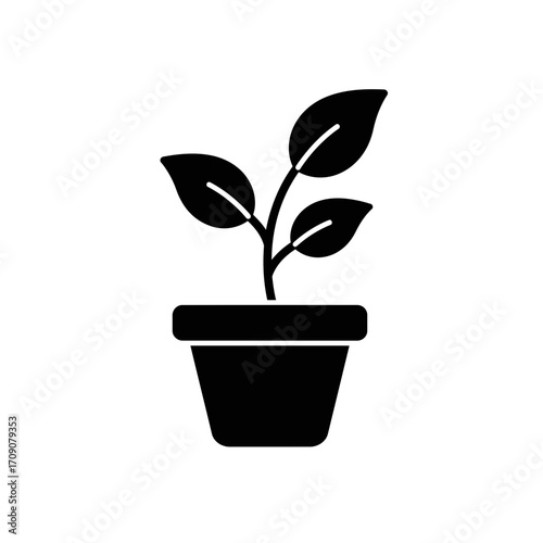 Minimalist vector illustration of a small potted plant, featuring a tender sapling with three leaves, symbolizing growth, nature, and environmental care for a sustainable future