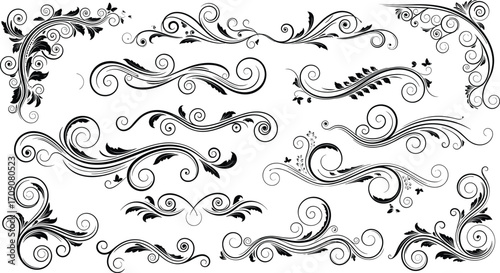 Elegant decorative floral swirl vector designs, vintage ornamental flourishes, intricate black foliage patterns for invitations, borders, frames, and artistic decoration.