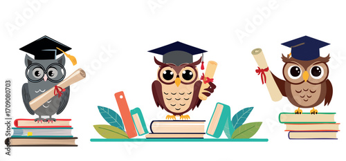 owl teacher and books