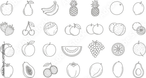 Vector outline drawing of various fruits healthy eating and nutrition design