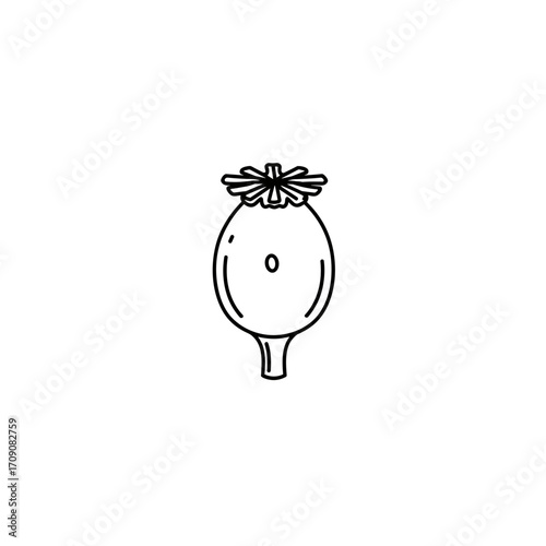 Simple Black Outline of a Poppy Seed Head, Botanical Illustration.