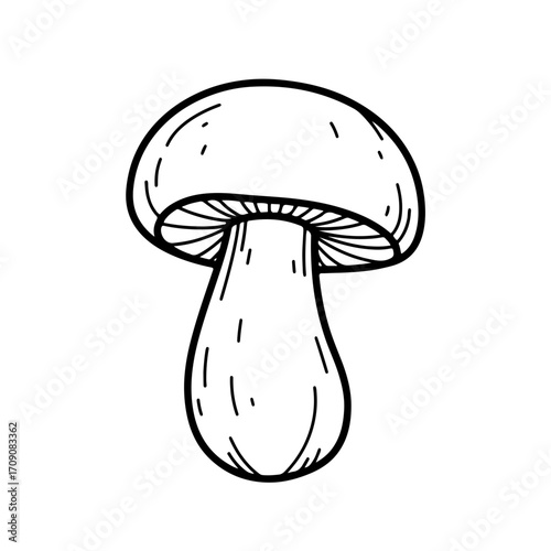 Hand-drawn mushroom with a smooth cap and gills, outlined in black ink