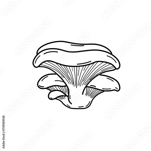 Detailed Line Art Illustration of a Clustered Mushroom