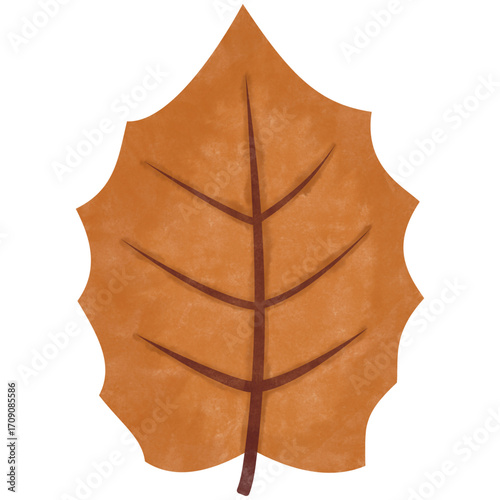watercolor dry brown leaf illustration