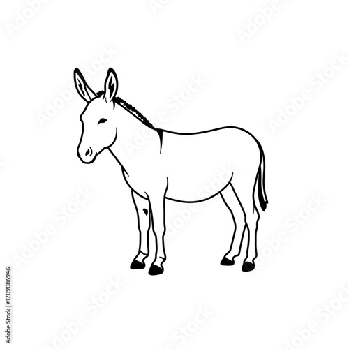 Profile View of a Donkey with Braided Mane, Simple Line Art Illustration