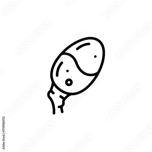 Simple Line Drawing of a Biological Organ