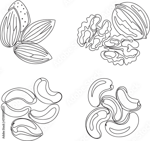 Continuous Line Art Illustration of Assorted Nuts in Minimalist Linear Style