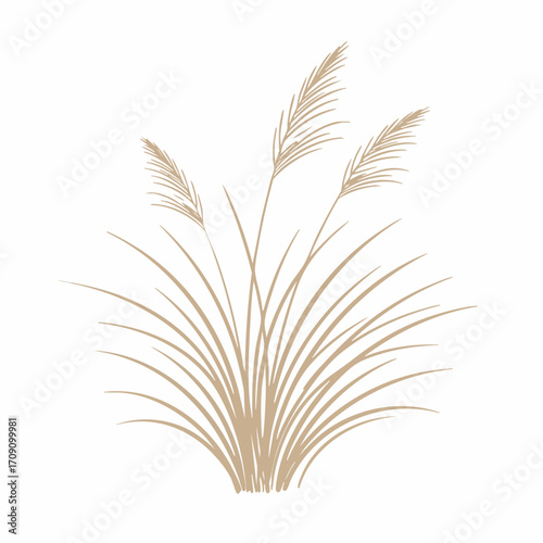 Elegant Beige Pampas Grass Illustration with Delicate Plumes and Flowing Stems