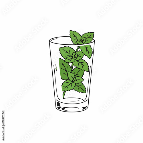 Fresh Mint Sprig in a Clear Glass